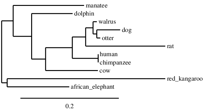 result tree