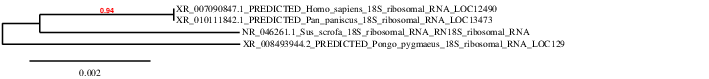 result tree