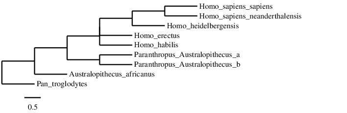 result tree