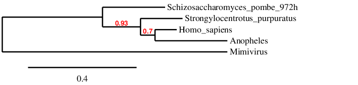 result tree