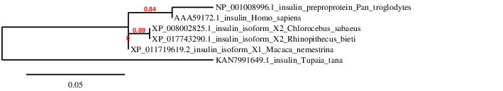 result tree