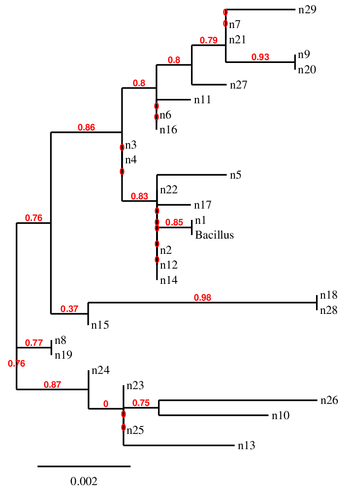 result tree
