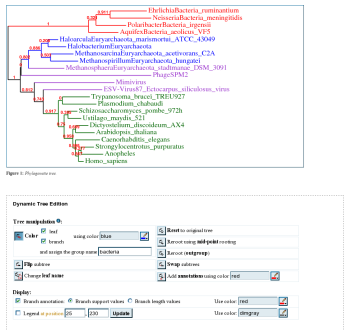 advanced mode tree output screenshot