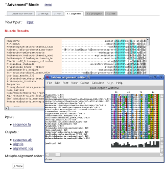 advanced mode alignment output screenshot