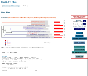 Blast output screenshot